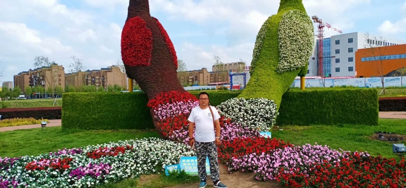 尘埃的第一张照片--东丰蓝颜知己交友网